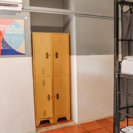 Socialtel Palomino - Formerly Selina Palomino Kültér fotó
